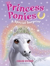 Imagen de portada para A Special Surprise